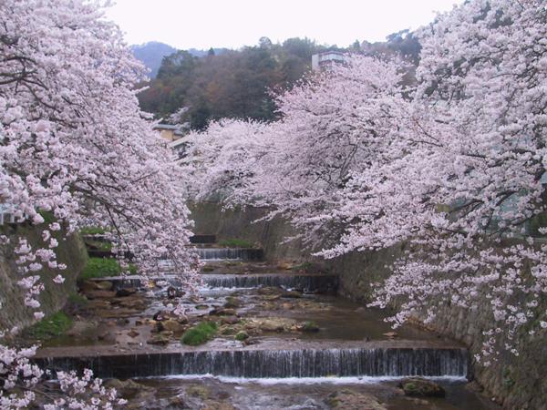 Kadonobo Ryokan Kobe Bagian luar foto